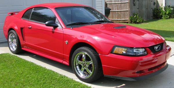 mustang in the beginning